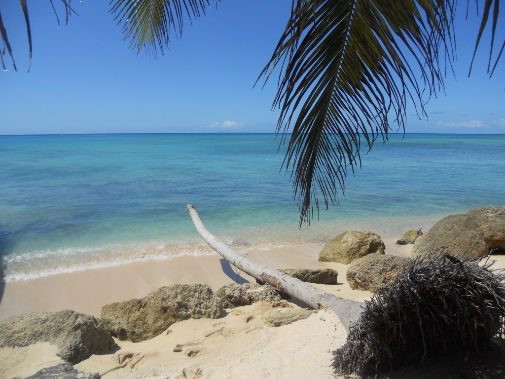 Top 15 des incontournables en&nbsp;Guadeloupe